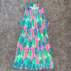 Tzu Tzu Pink and Green Tropical Dress